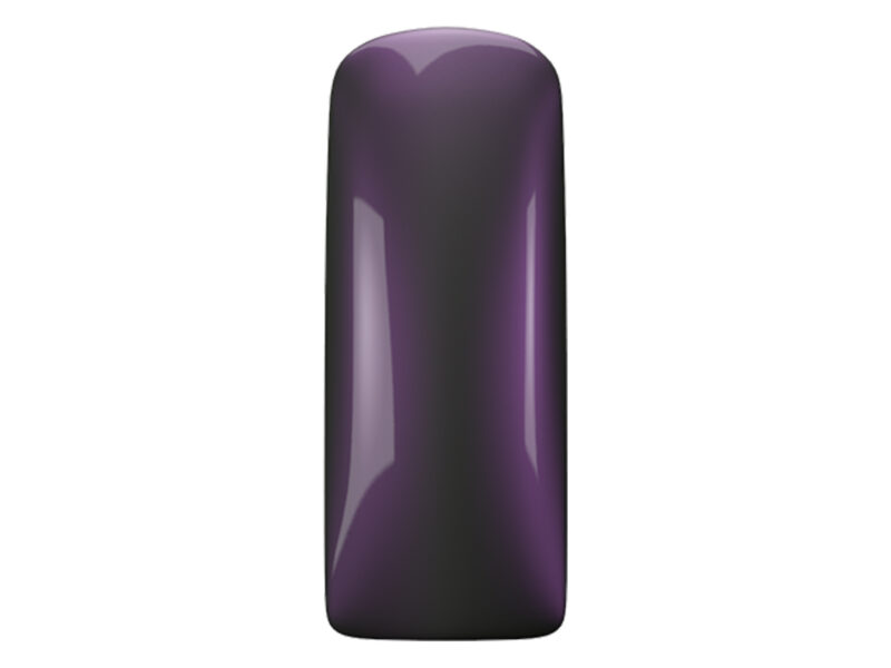 purple-piste-103291